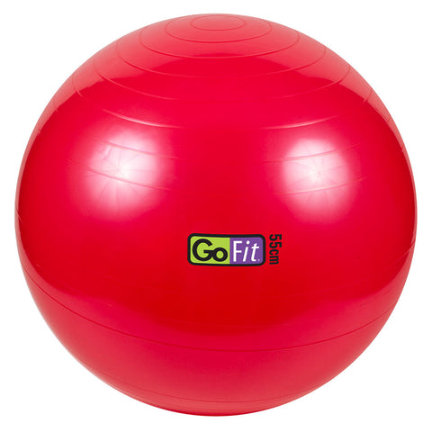 GOFIT EXERCISE BALL WITH PUMP 55CM