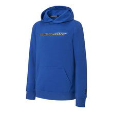 Sherwood Wordmark Boy's Blue Pullover Hoodie