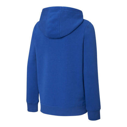 Sherwood Wordmark Boy's Blue Pullover Hoodie