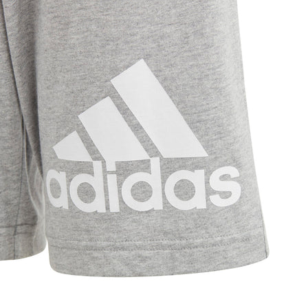 Adidas Always On Grey Shorts