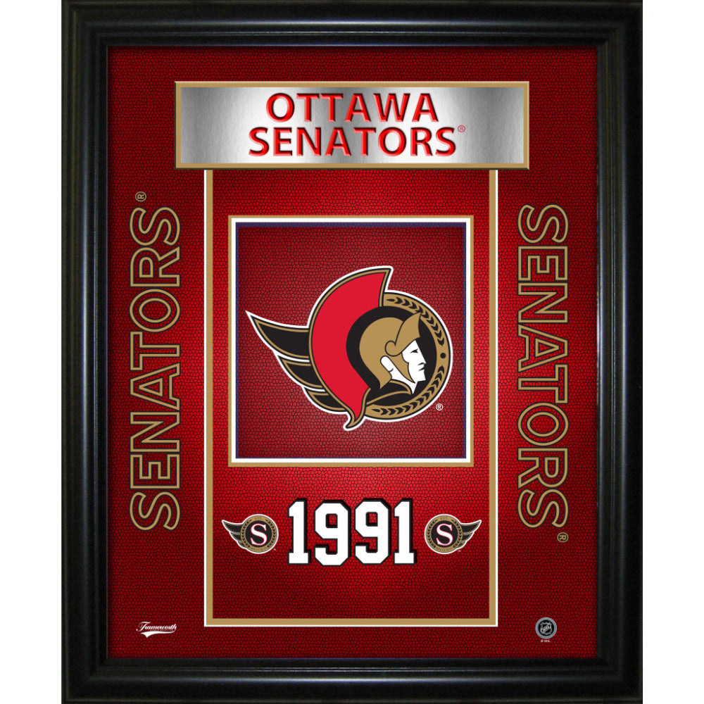 OTTAWA SENATORS 10X12 TEAM FRAME