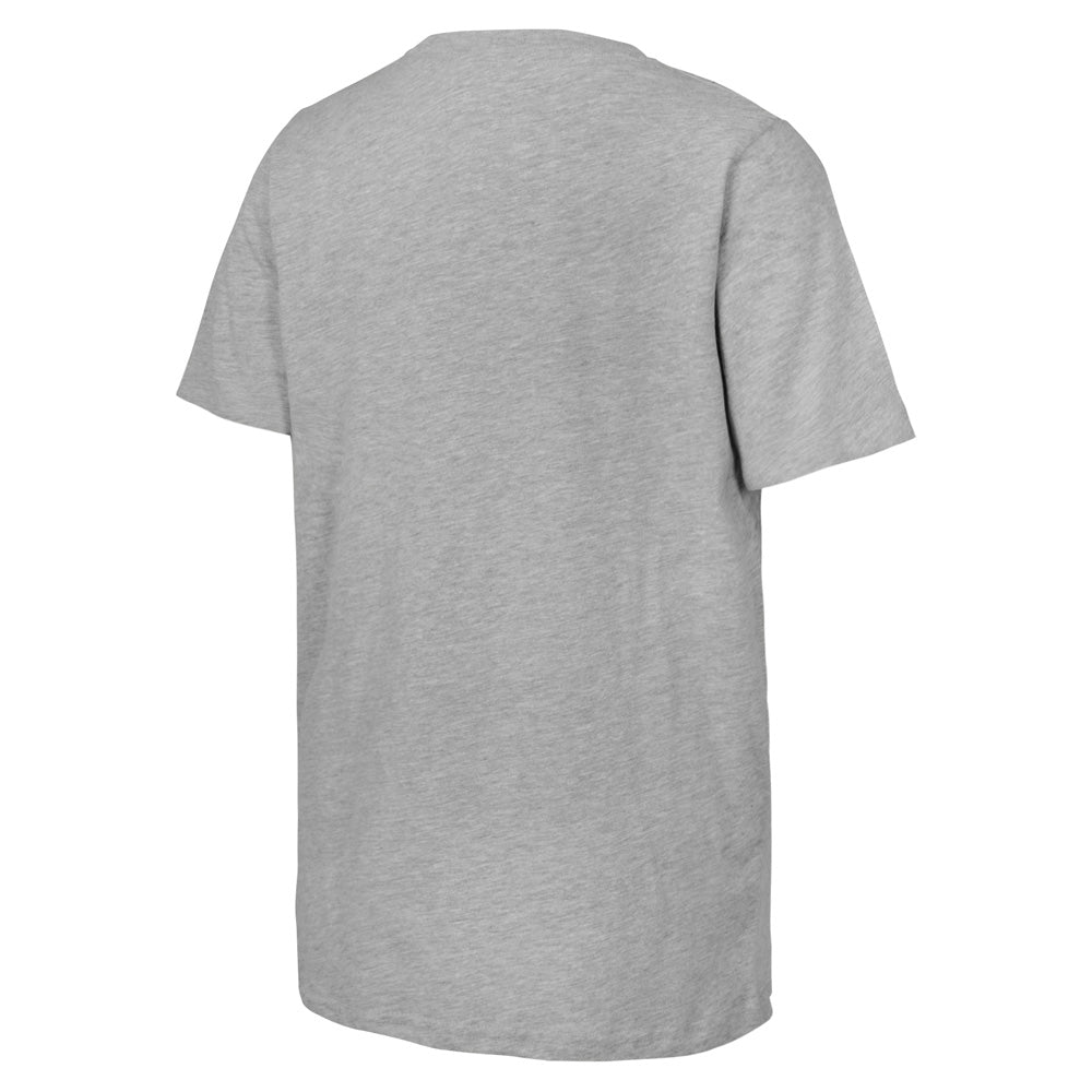 Outerstuff Florida Panthers 2025 Stanley Cup Champions Youth Grey T Shirt