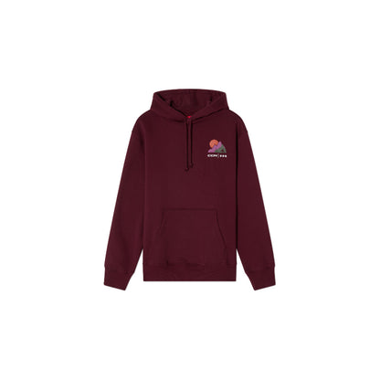 CCM Winter Collection Adult Pullover Hoodie