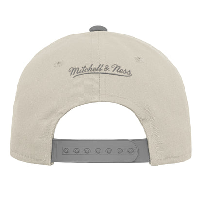 Youth Vancouver Canucks Chalk Dust Pro Hat