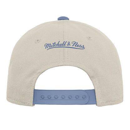 Youth Winnipeg Jets Chalk Dust Pro Hat