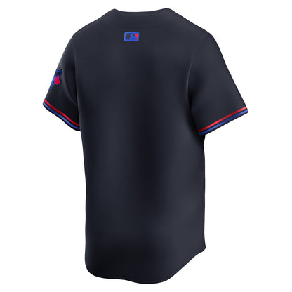 NIKE TORONTO BLUE JAYS 2024 CITY CONNECT ADULT JERSEY