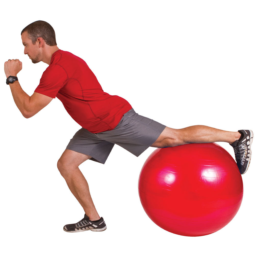 GOFIT EXERCISE BALL WITH PUMP 55CM