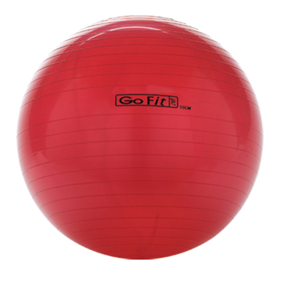 GOFIT EXERCISE BALL WITH PUMP 55CM