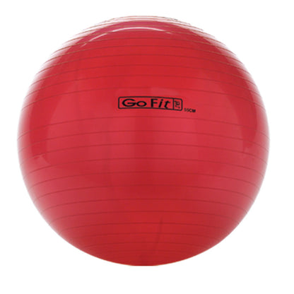 GOFIT EXERCISE BALL WITH PUMP 55CM